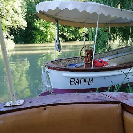 камчия, делфин Bliznaci