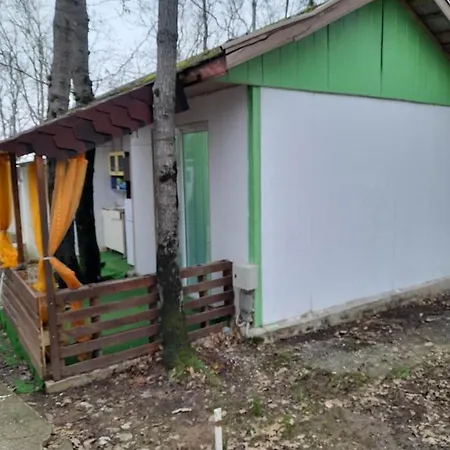 камчия, делфин Bliznaci