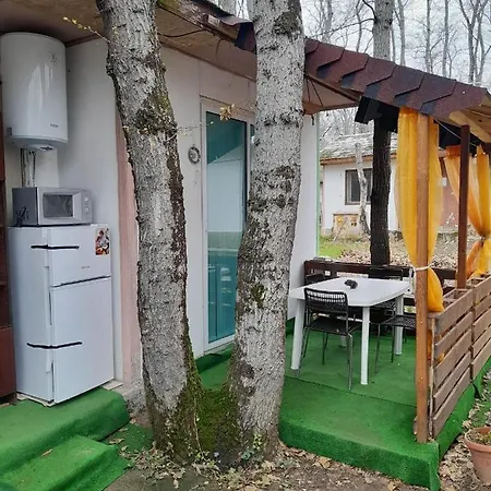 камчия, делфин